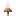 棕色蘑菇