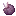 紫颂果