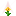 蒲公英