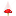 红色蘑菇